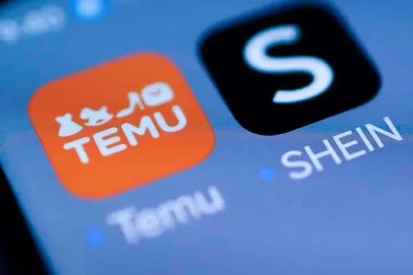 Nuevos límites para Temu y Shein: el tope que impuso ARCA para las compras de diciembre