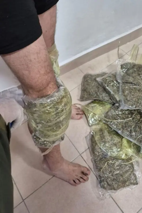 OTROS OPERATIVOS. La marihuana y la cocaína que fueron decomisadas en los procedimientos realizados por Gendarmería.