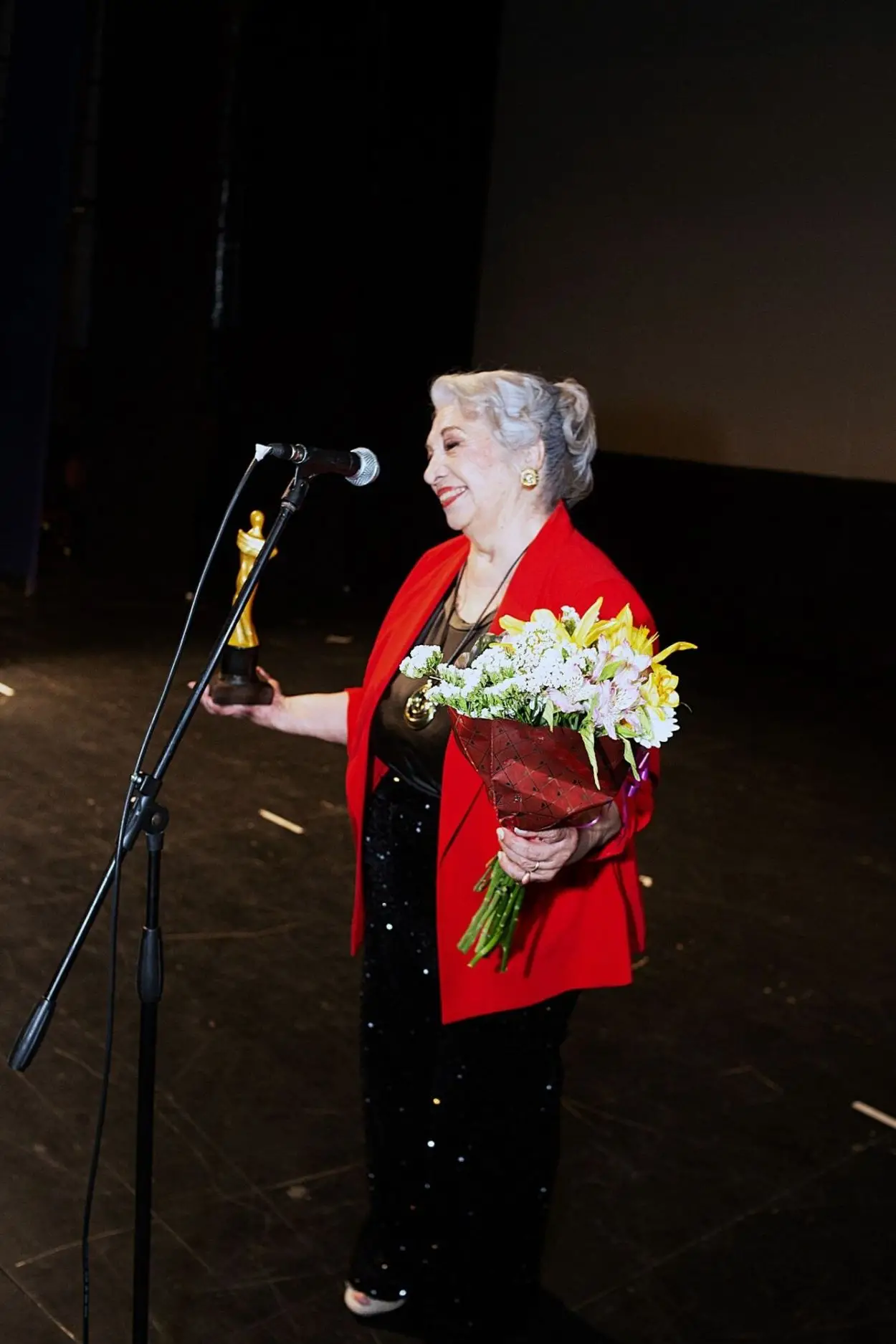 Teatro tucumano: “Victoria Park” arrasó en los premios Artea