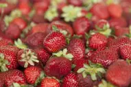 Frutilla: la Argentina homologa su normativa de calidad con el Mercosur