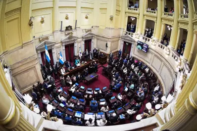 Renovación de bancas: los 23 senadores electos prestaron juramento