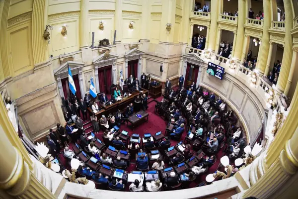 Renovación de bancas: los 23 senadores electos prestaron juramento
