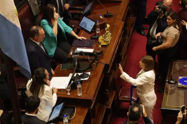 Juraron los nuevos senadores: el oficialismo creció pero los roces internos marcaron la ceremonia