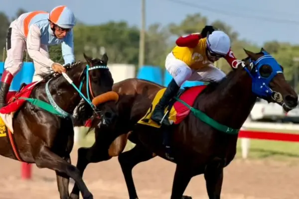 Curioso Honey y Show Goes On, dos gratas sorpresas en el turf local