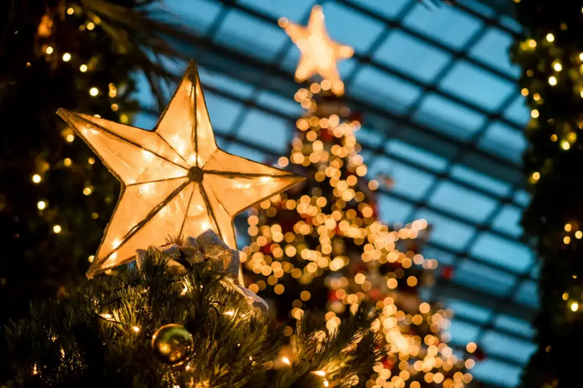 Además de la significación de la fecha, cada elemento del árbol tiene su propia representación.