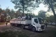 Gendarmería secuestró más de cuatro toneladas de hojas de coca ocultas en un cargamento de expeller de soja