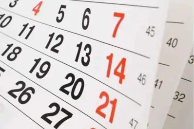 LLega el último feriado de diciembre: ¿habrá fin de semana largo?