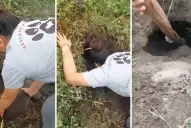 Aprehendieron a un hombre por enterrar vivos a cuatro cachorritos en Concepción