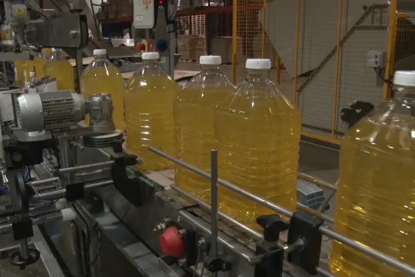 Producción de aceite. AGRICULTURA