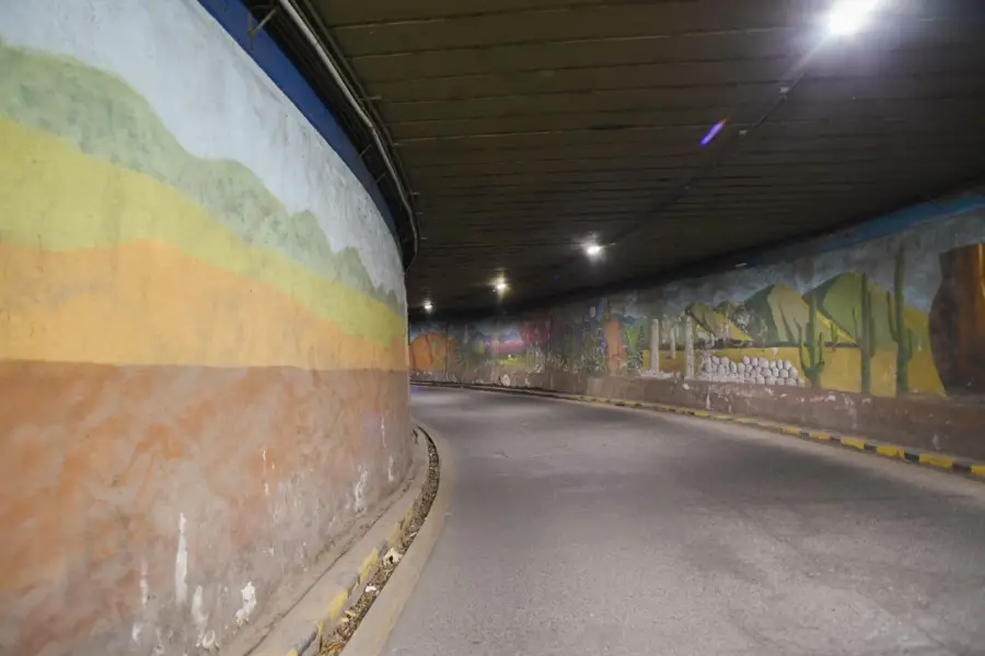 COMUNICACIÓN PÚBLICA