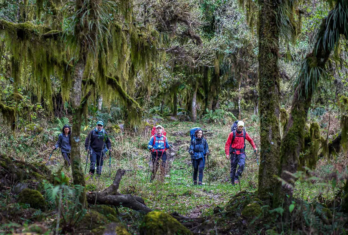 FLORA Y FAUNA. Guardaparques y voluntarios coordinan tareas de educación ambiental en Aconquija. / PARQUE NACIONAL ACONQUIJA
