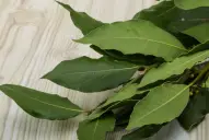 ¿Por qué el laurel te puede ayudar para atraer más abundancia?