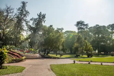 Descubren 20.000 lugares aptos para nuevos árboles en San Miguel de Tucumán