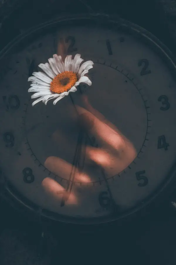 SUPERPUESTAS. Cecilia Valdez construyó su obra al fusionar dos tomas.