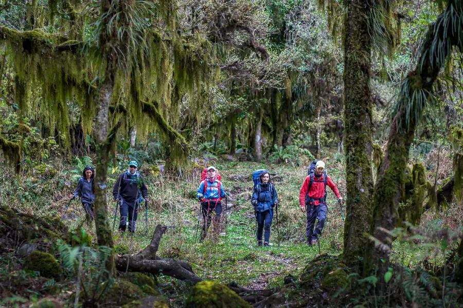 FLORA Y FAUNA. Guardaparques y voluntarios coordinan tareas de educación ambiental en Aconquija. / PARQUE NACIONAL ACONQUIJA