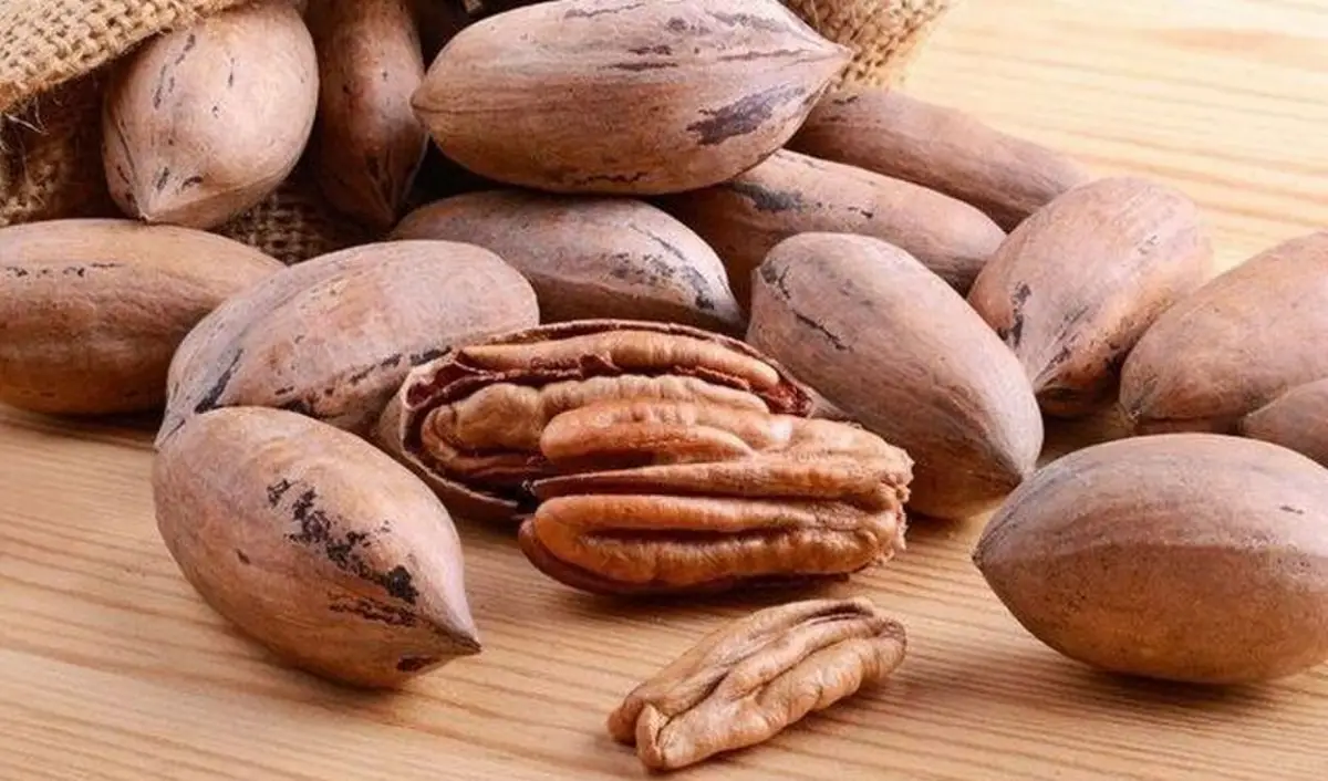 CULTIVO. Hay nuez pecán en Entre Ríos, Santa Fe, Buenos Aires, Catamarca, Tucumán, Salta y Misiones, entre otras.