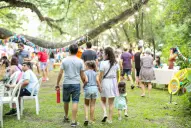 ¿Cómo será el cronograma de festejos de un nuevo aniversario del Jardín Botánico Percy Hill?