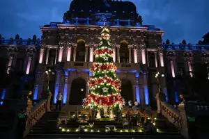 La Casa de Gobierno se iluminó con un nuevo Árbol de Navidad