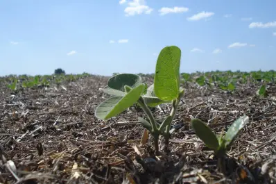 El riesgo de tapar el suelo con cemento