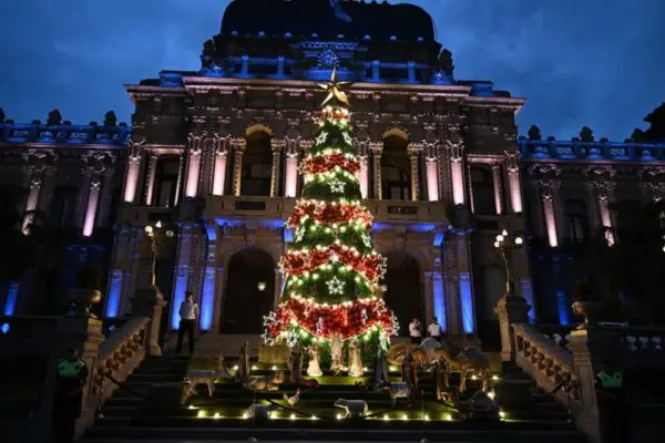 La Casa de Gobierno se iluminó con un nuevo Árbol de Navidad