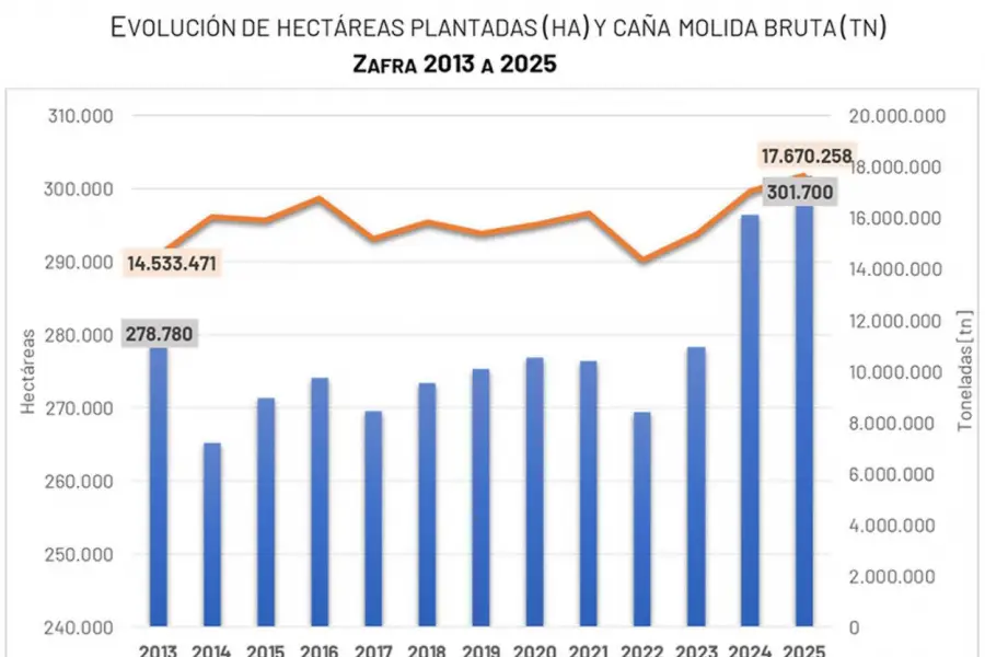 Zafra 2025: Tucumán marcó un récord al moler casi 17,7 millones de toneladas de caña