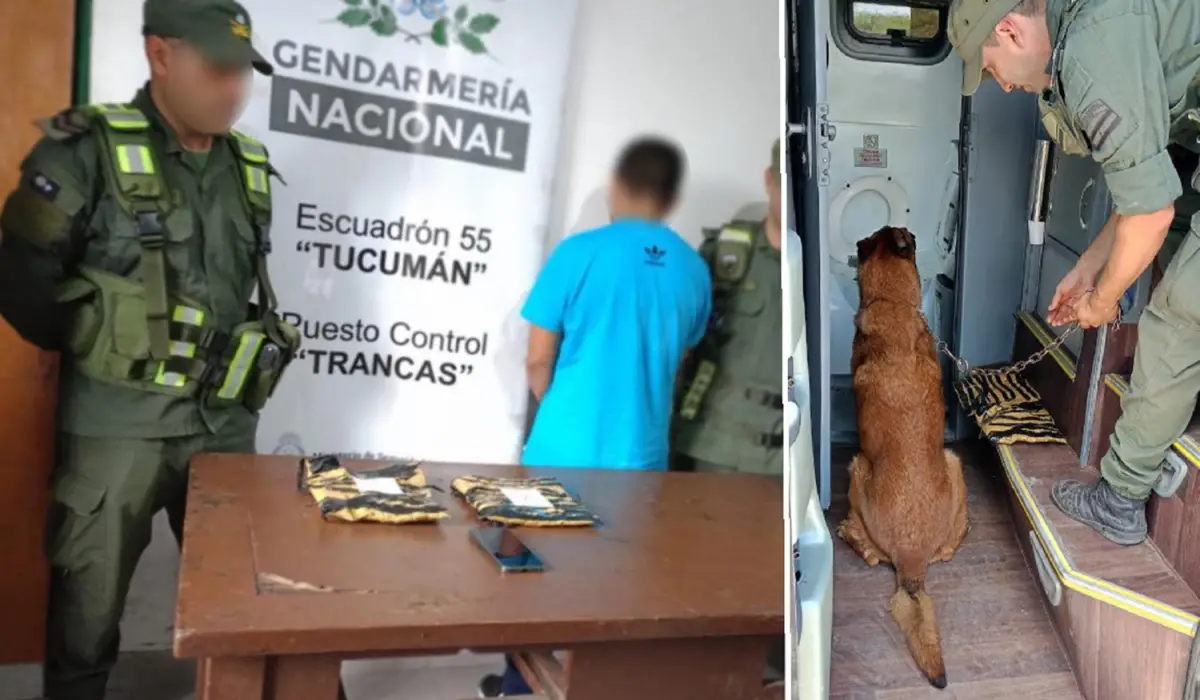 Narcotráfico en Tucumán: ocultó cocaína en el baño de un colectivo y fue detenido