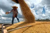 ¿Cuánto será el costo fiscal de la baja de las retenciones?