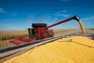 El Gobierno confirmó una baja en las retenciones para las exportaciones de soja, trigo, maíz y girasol