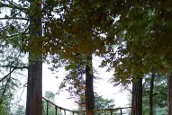 Una boda de cuentos: las tiernas fotos de Nicolás Cabré con su hija Rufina en su casamiento