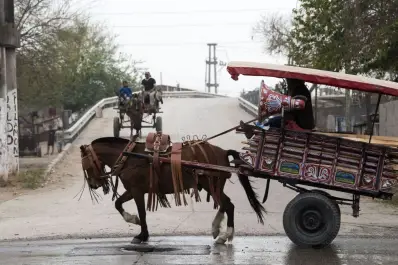 Prohibición de la tracción a sangre: “Decomisar carros sólo empuja a más familias a la pobreza”