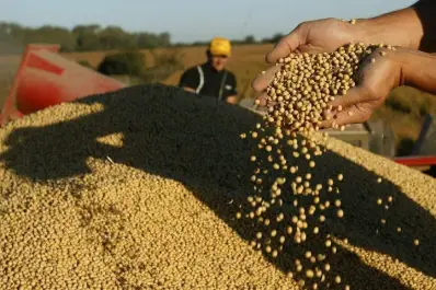 Productores celebran la baja de retenciones: “Es muy bueno que el Gobierno cumpla las promesas