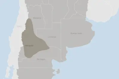 “Vaca Muerta. El motor energético de la Argentina”