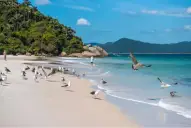 A dónde ir en Brasil si querés gastar poco y viajar en auto: seis playas que tenés que conocer