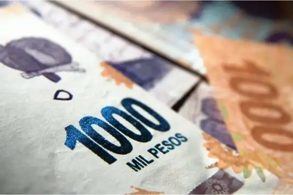 Estamos por debajo de la canasta básica, advierten en los gremios estatales