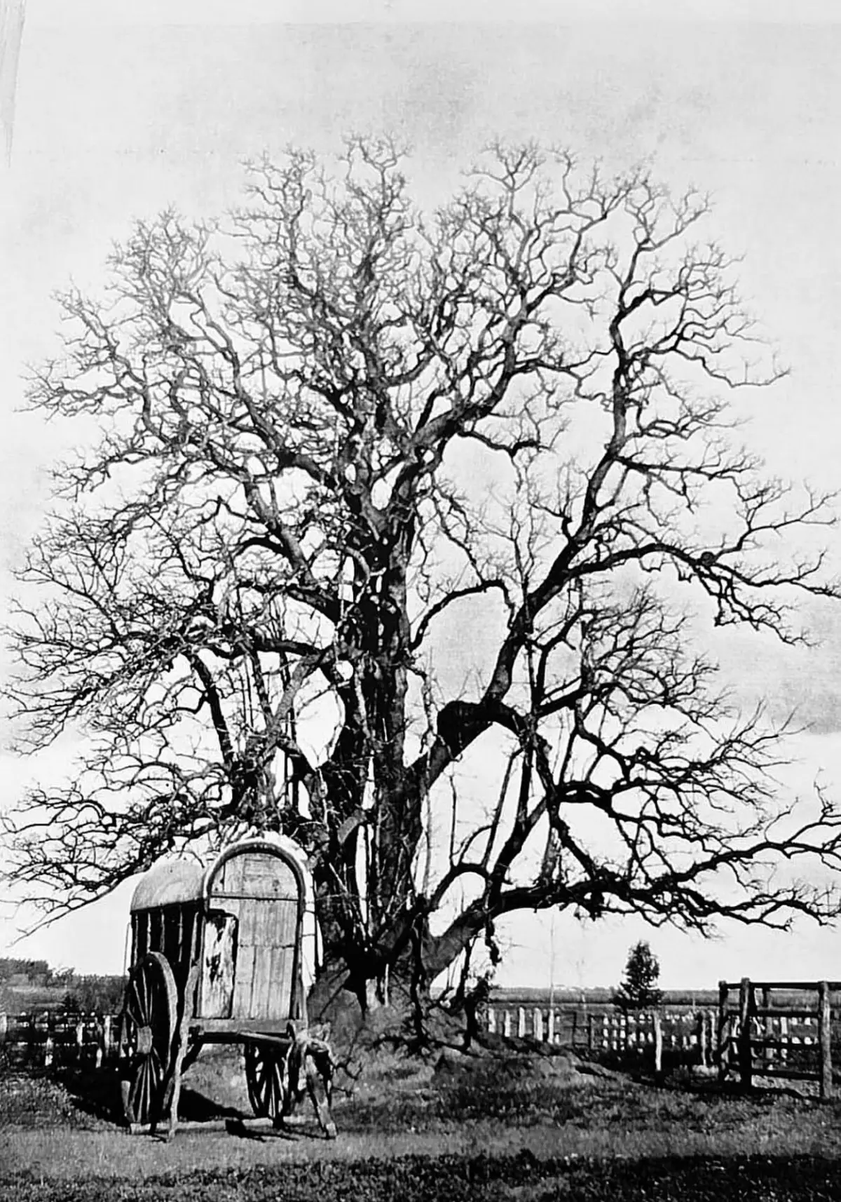 Recuerdos fotográficos: 1862. Balbín, el carrero que dio su nombre a Los Vázquez
