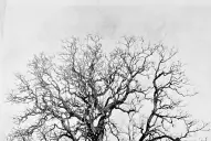 Recuerdos fotográficos: 1862. Balbín, el carrero que dio su nombre a Los Vázquez