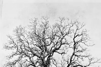 Recuerdos fotográficos: 1862. Balbín, el carrero que dio su nombre a Los Vázquez