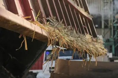 Destacan que la zafra sucroalcoholera 2026 arrancará con un inusual bajo stock de azúcar