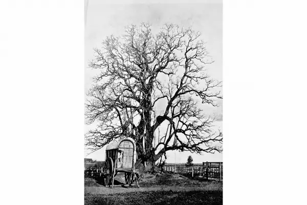 Recuerdos fotográficos: 1862. Balbín, el carrero que dio su nombre a Los Vázquez