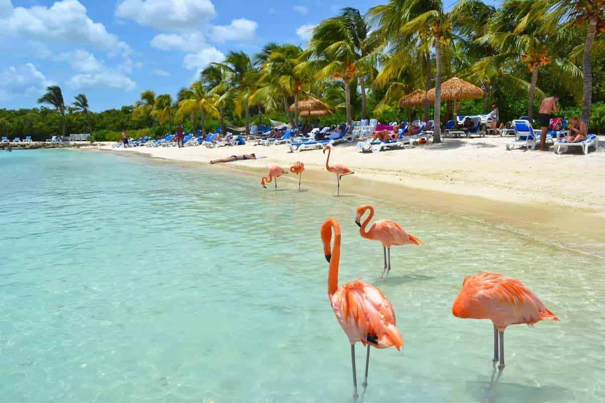 El paraíso caribeño que es furor entre los argentinos: precios, vuelos y paquetes
