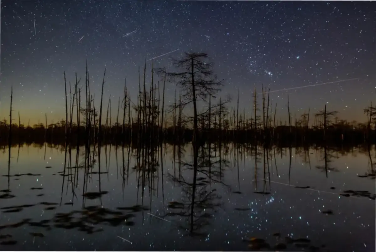 Una composición de cinco fotogramas muestra los meteoros de las Gemínidas cruzando el cielo sobre Campti, Luisiana, Estados Unidos, durante la lluvia de 2019.  Fotografía de Connor Joslin/National Geographic