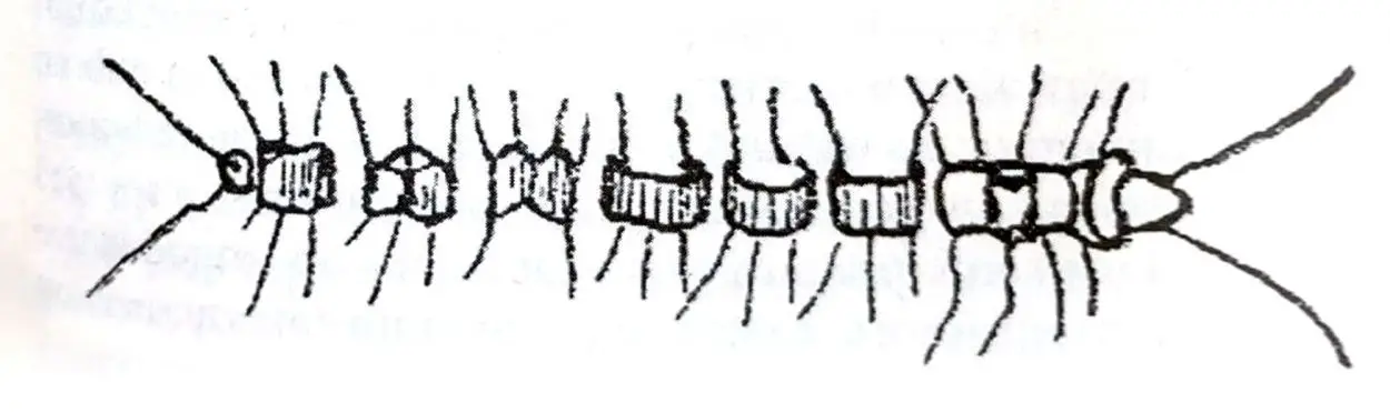 Recuerdos fotográficos: el hechizo de la palabra Tucumán
