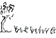 Recuerdos fotográficos: el hechizo de la palabra Tucumán