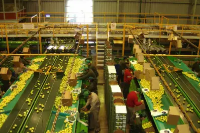 Citrus: analizaron aspectos de la planificación sanitaria y comercial del sector