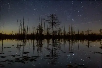 Llegan las Gemínidas, la lluvia de estrellas más intensa del año: el horario de este espectáculo imperdible