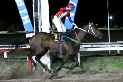 Turf: El clásico “Polla de Potrancas” definirá a la reina de la región