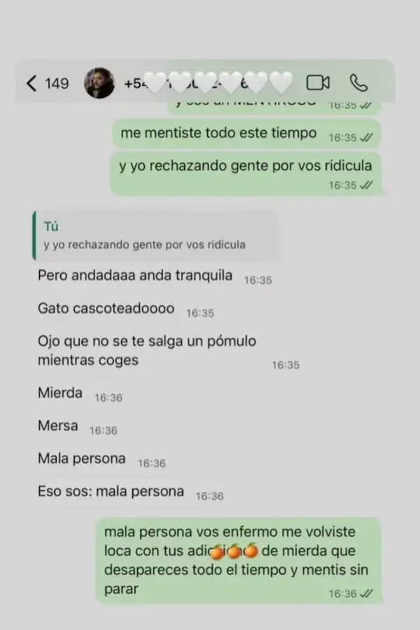 Chats cargados de insultos: la polémica conversación entre Sofía Gonet y Homero Pettinato