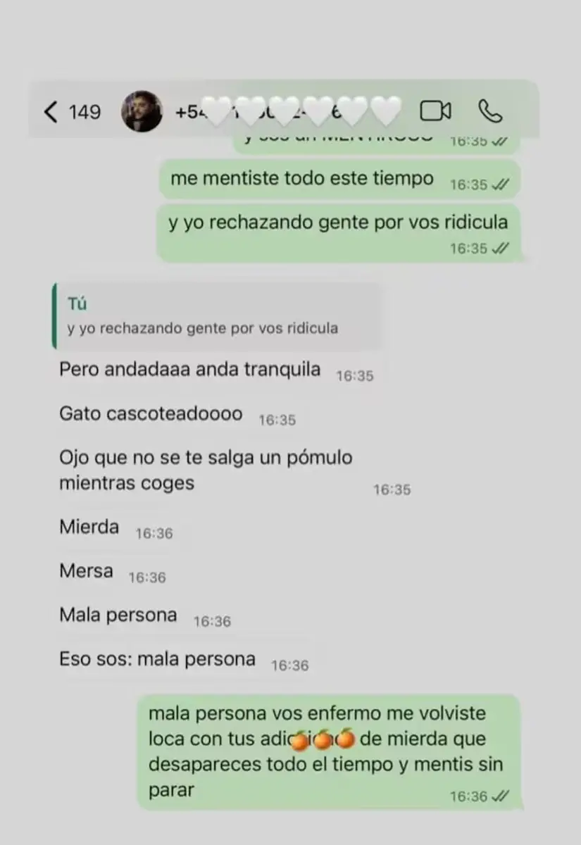 Chats cargados de insultos: la polémica conversación entre Sofía Gonet y Homero Pettinato