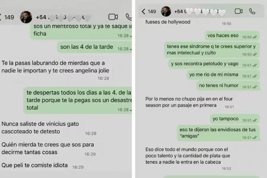 Chats cargados de insultos: la polémica conversación entre Sofía Gonet y Homero Pettinato