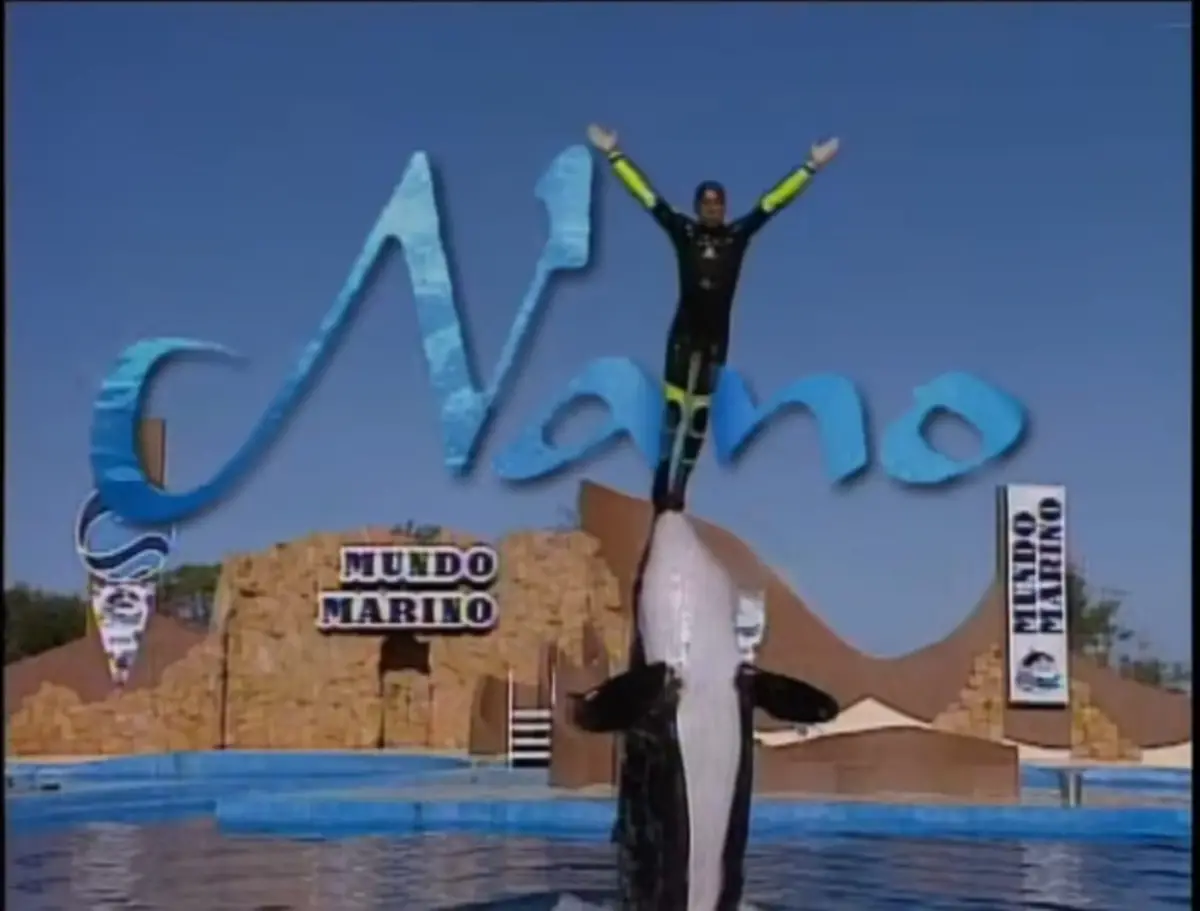 EN ESCENA. La introducción de la novela muestra al animal marino con Gustavo Bermúdez, el protegonista.